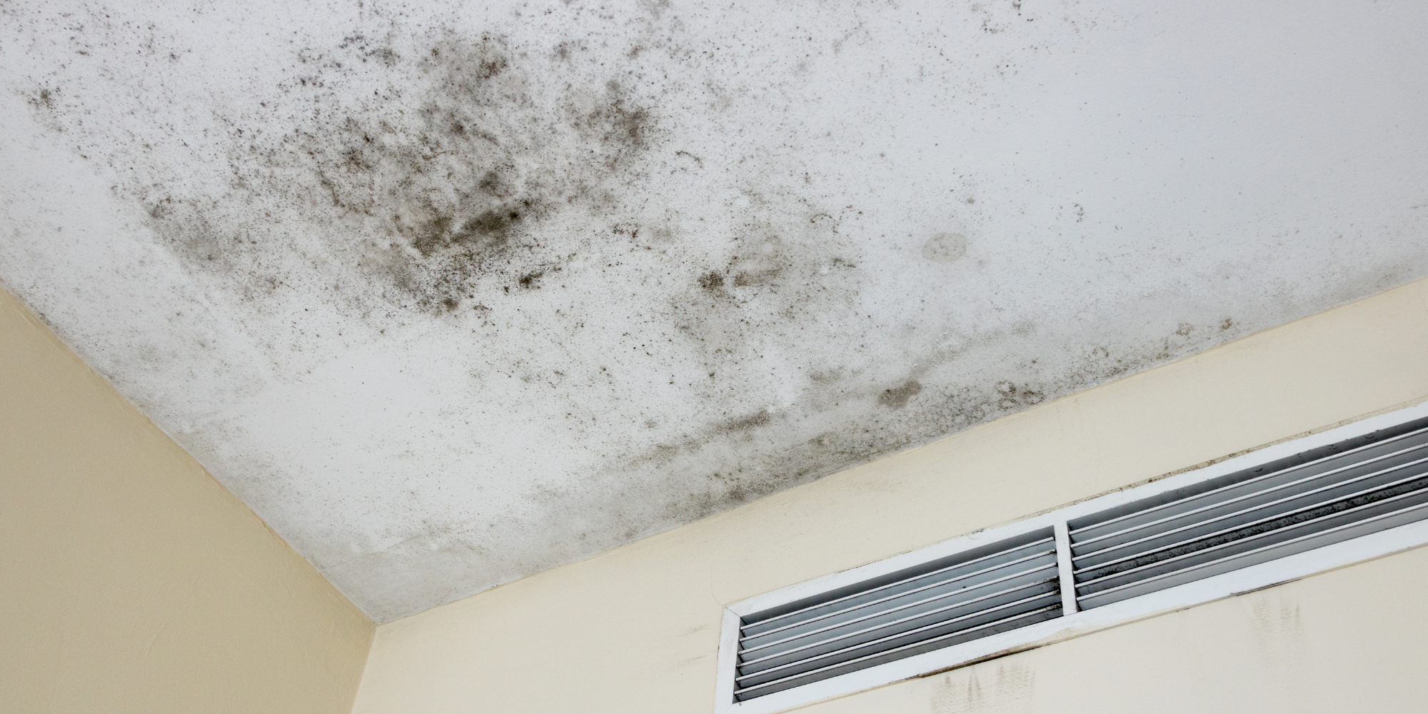 Pompe à chaleur, chaudière gaz et radiateur électrique